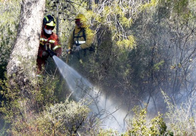 Foto_recurso_forestal_mini